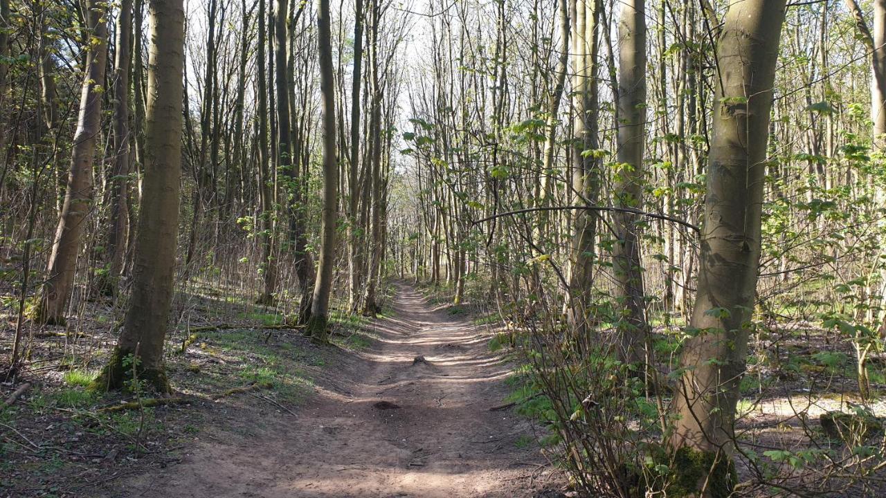 Holly Cottage, Hidden Gem In The Yorkshire Wolds Welton  المظهر الخارجي الصورة
