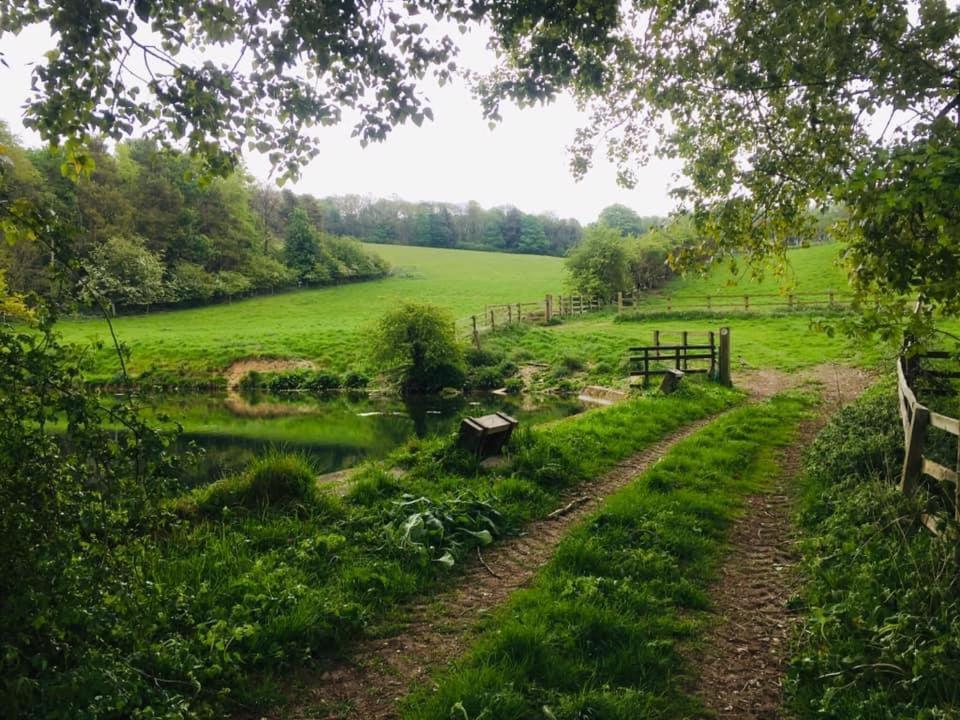 Holly Cottage, Hidden Gem In The Yorkshire Wolds Welton  المظهر الخارجي الصورة
